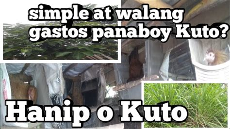 PAANO MAIWASAN ANG HANIP O KUTO SA .
